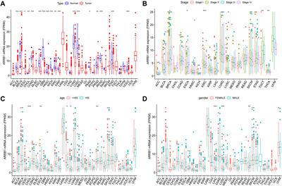 Role of ARRB1 in prognosis and immunotherapy: A Pan-Cancer analysis